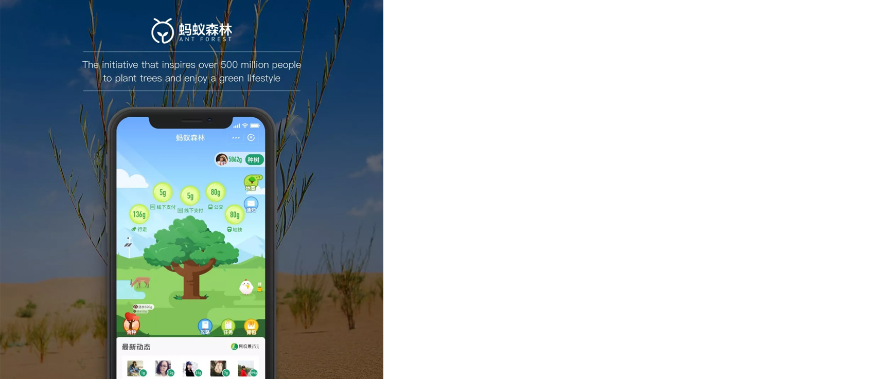 1718x580-19.jpg 1718x580-19.jpg